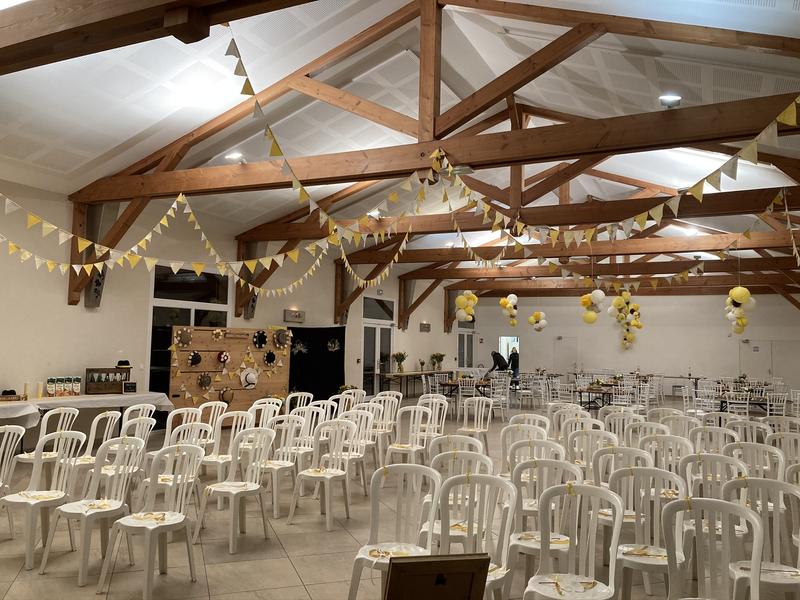 Château des Pertonnières