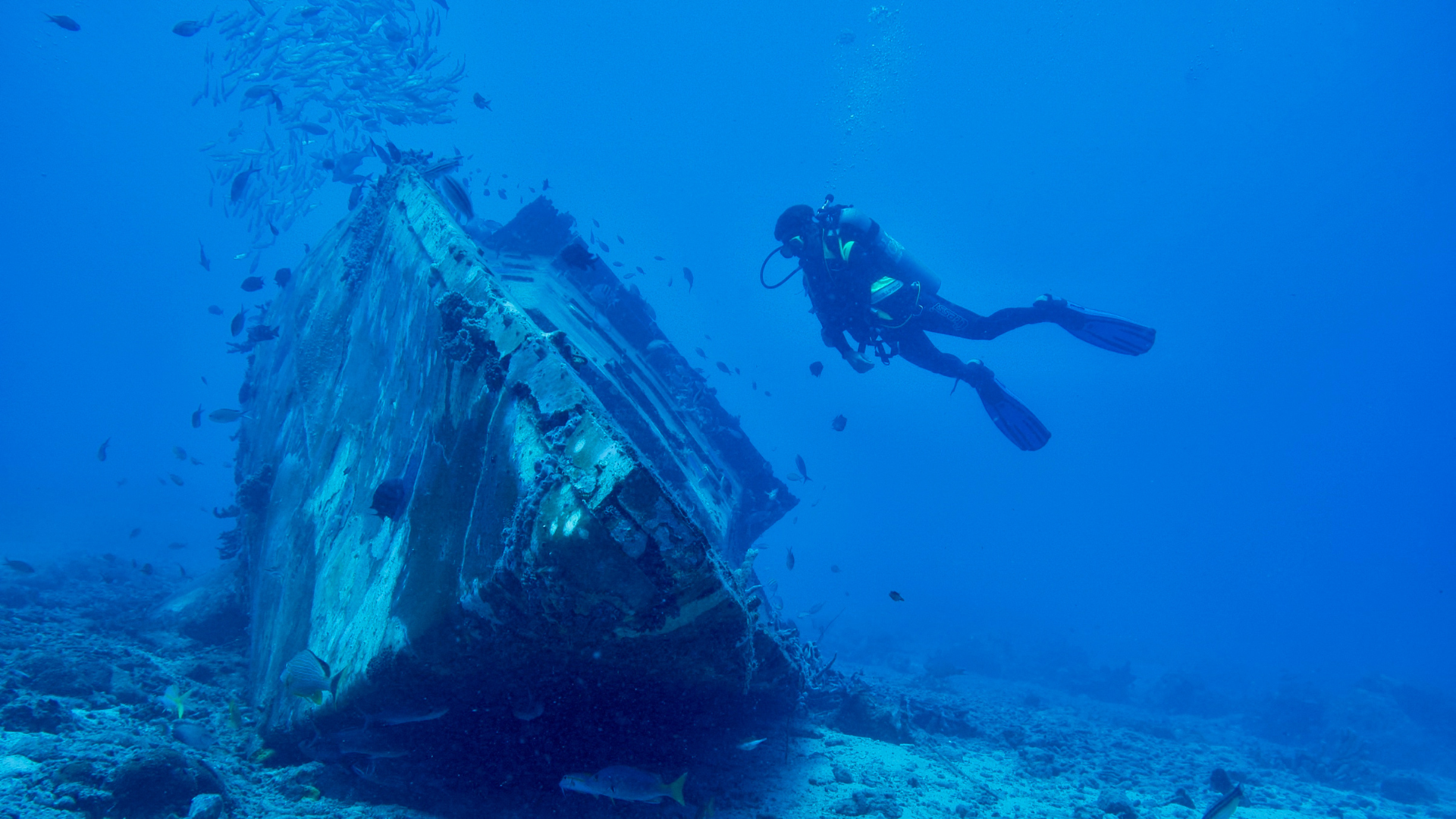 Open Water Diver