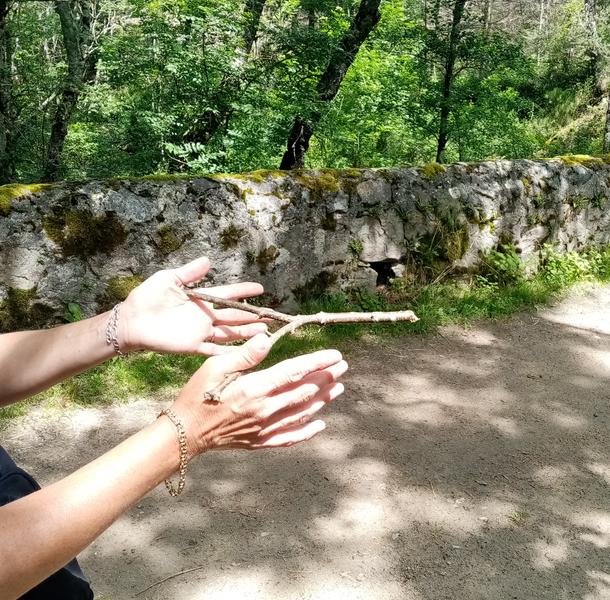 Stage géobiologie - recherche d'eau, découverte des outils de détection_Villevocance