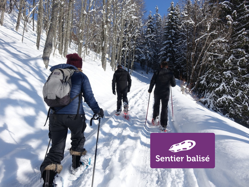 Boucle de Morsullaz - Randonnée hivernale_Mont-Saxonnex