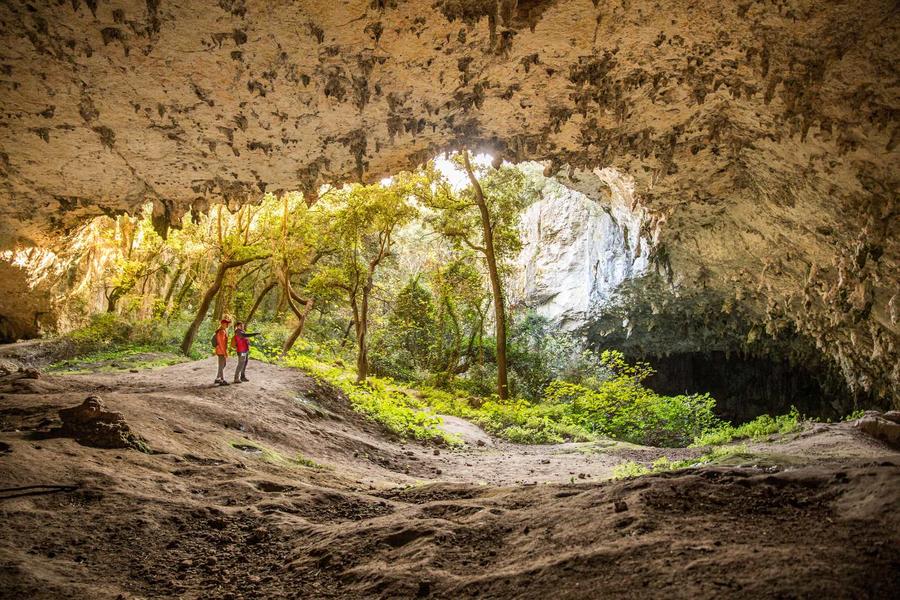 La Baume de Ronze_Orgnac-l'Aven