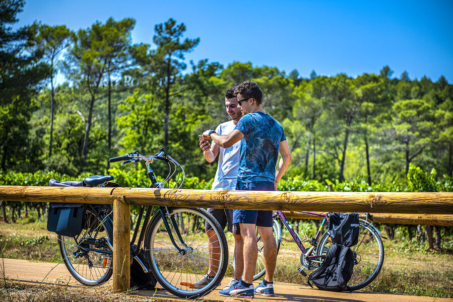 La Vigne à Vélo