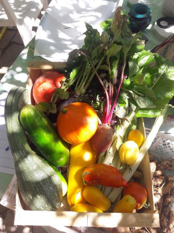 Oasis de La Nourrice, Fuveau - photo 2