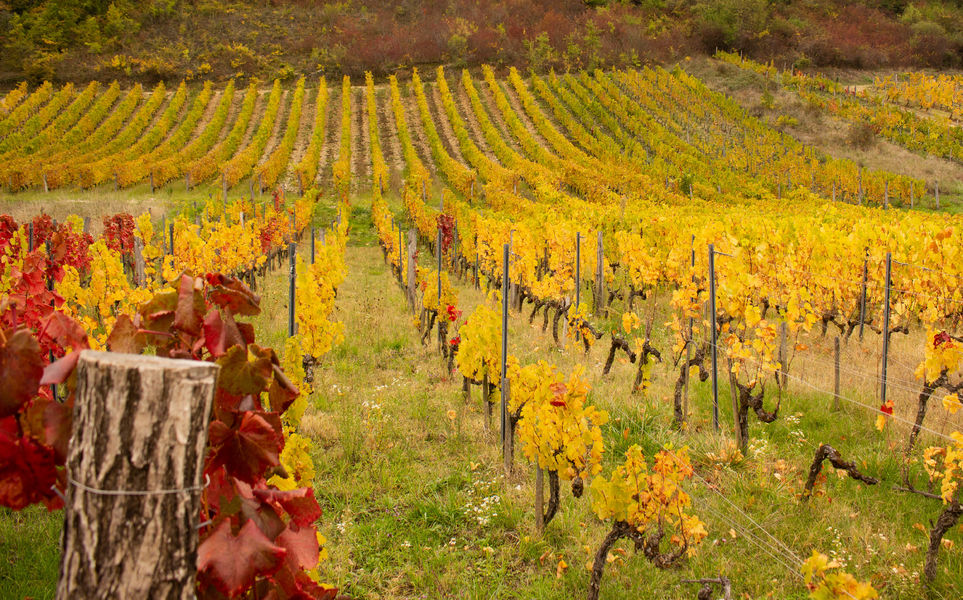 balade enquête sonore