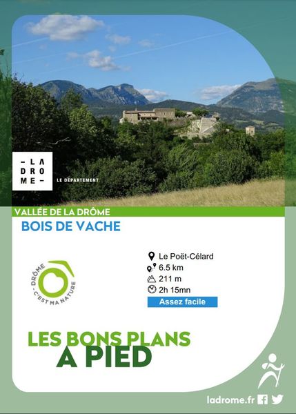 BP Bois de Vache