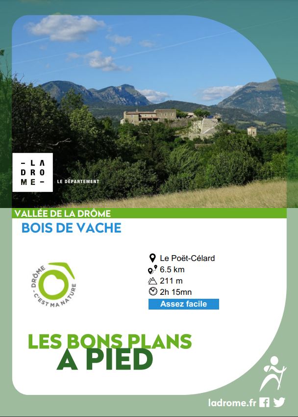 BP Bois de Vache