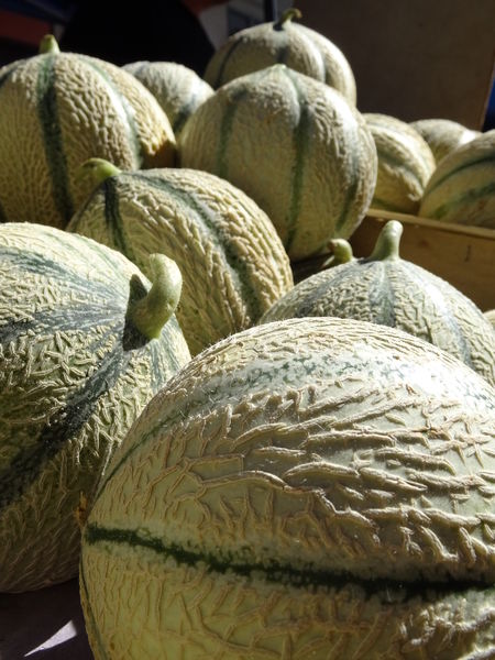 Melons Melons