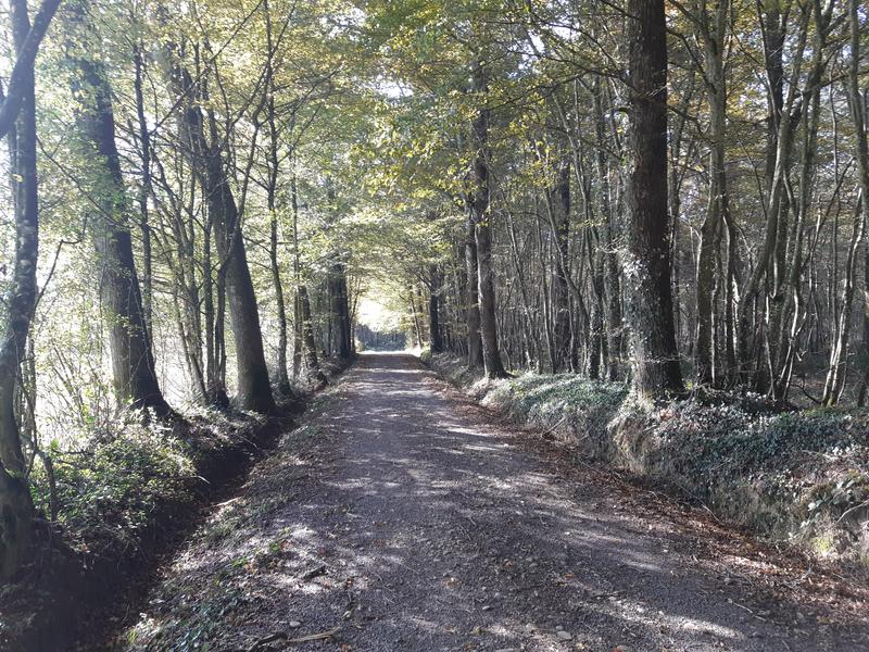 Circuit VTC-VTT n°4 (rouge) - La Voie Royale
