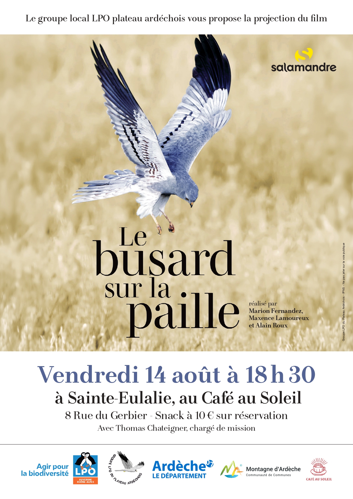 Projection "Le Busard sur la paille"