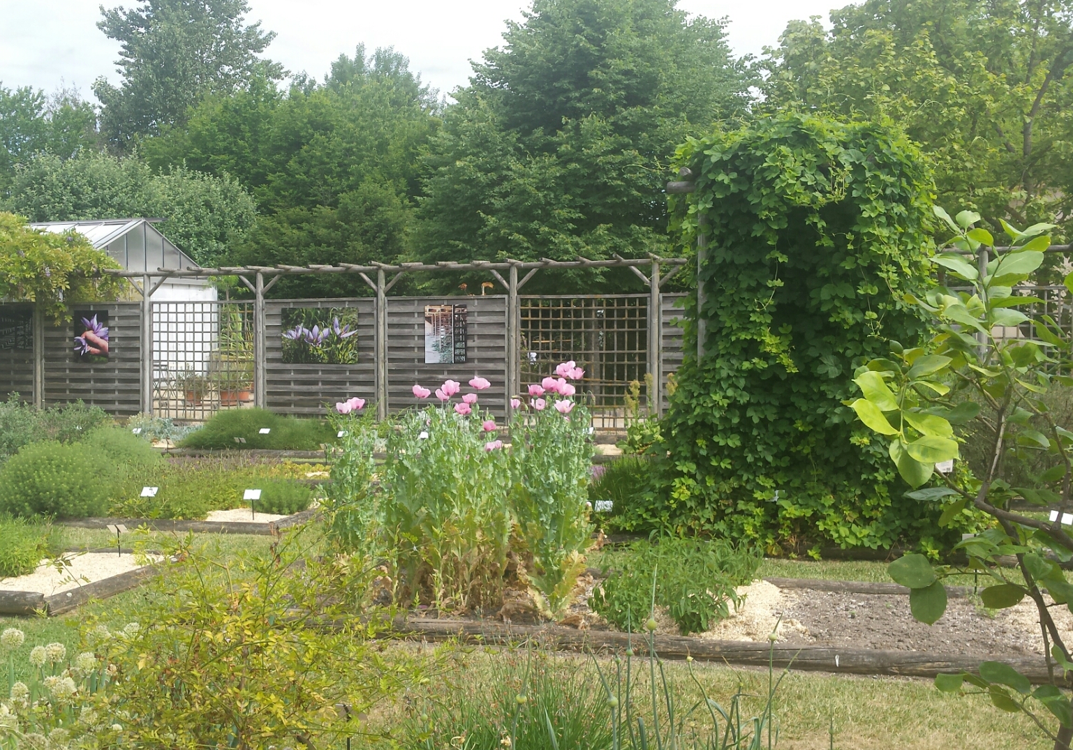 Conservatoire des Plantes