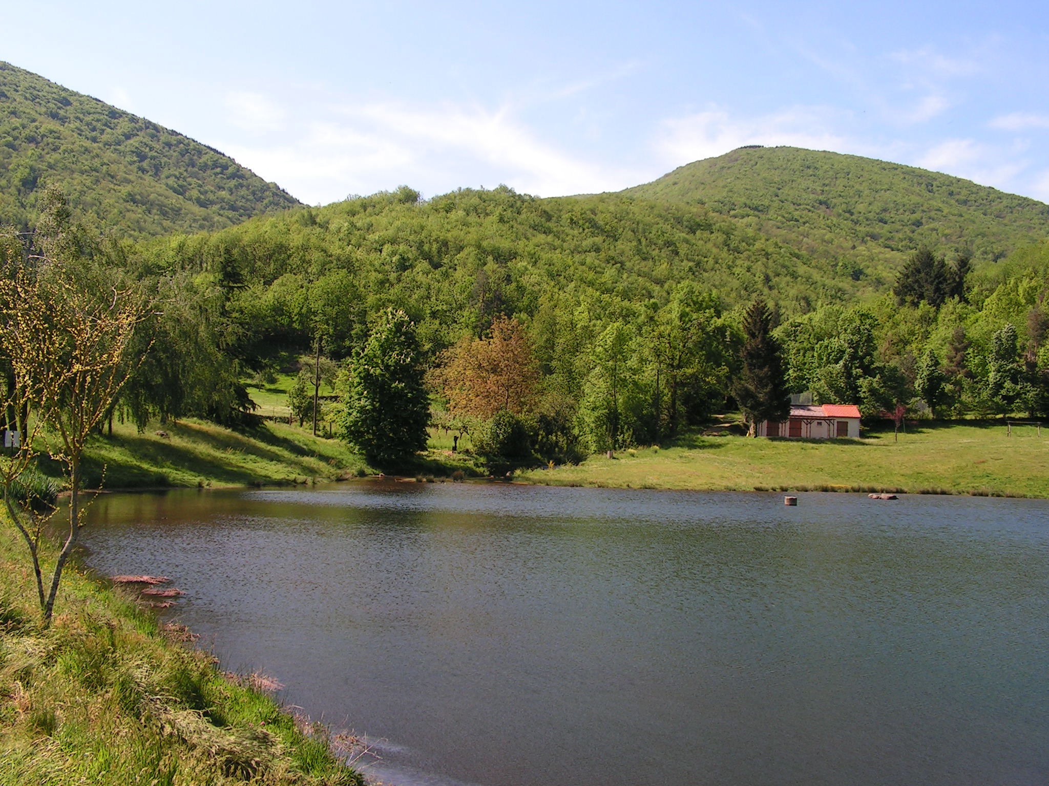 LAC ALBINE 6