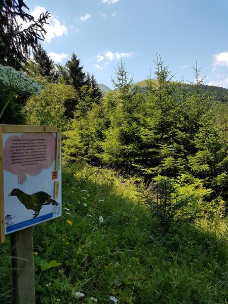 Arboretum Alpe du Grand Serre