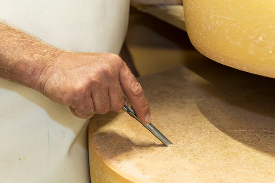 Coopérative laitière de Yenne