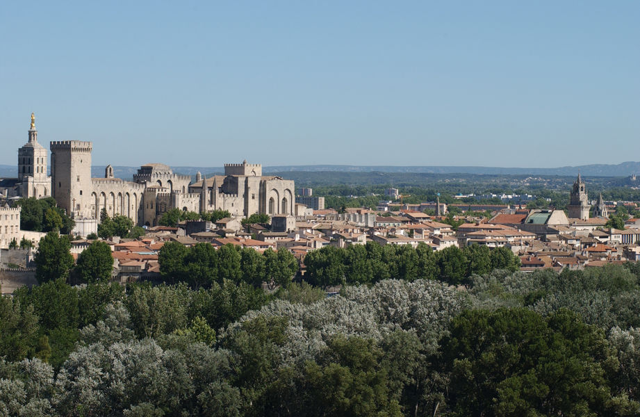 Palais des papes - vue générale