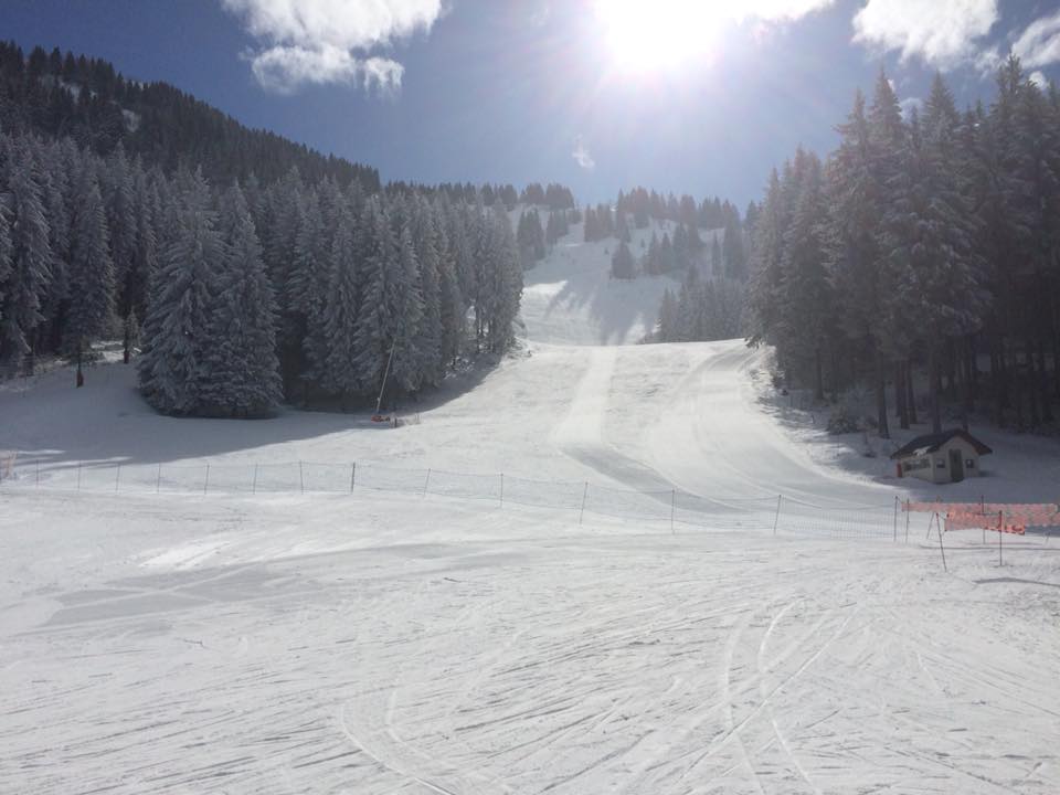 Ski Alpin