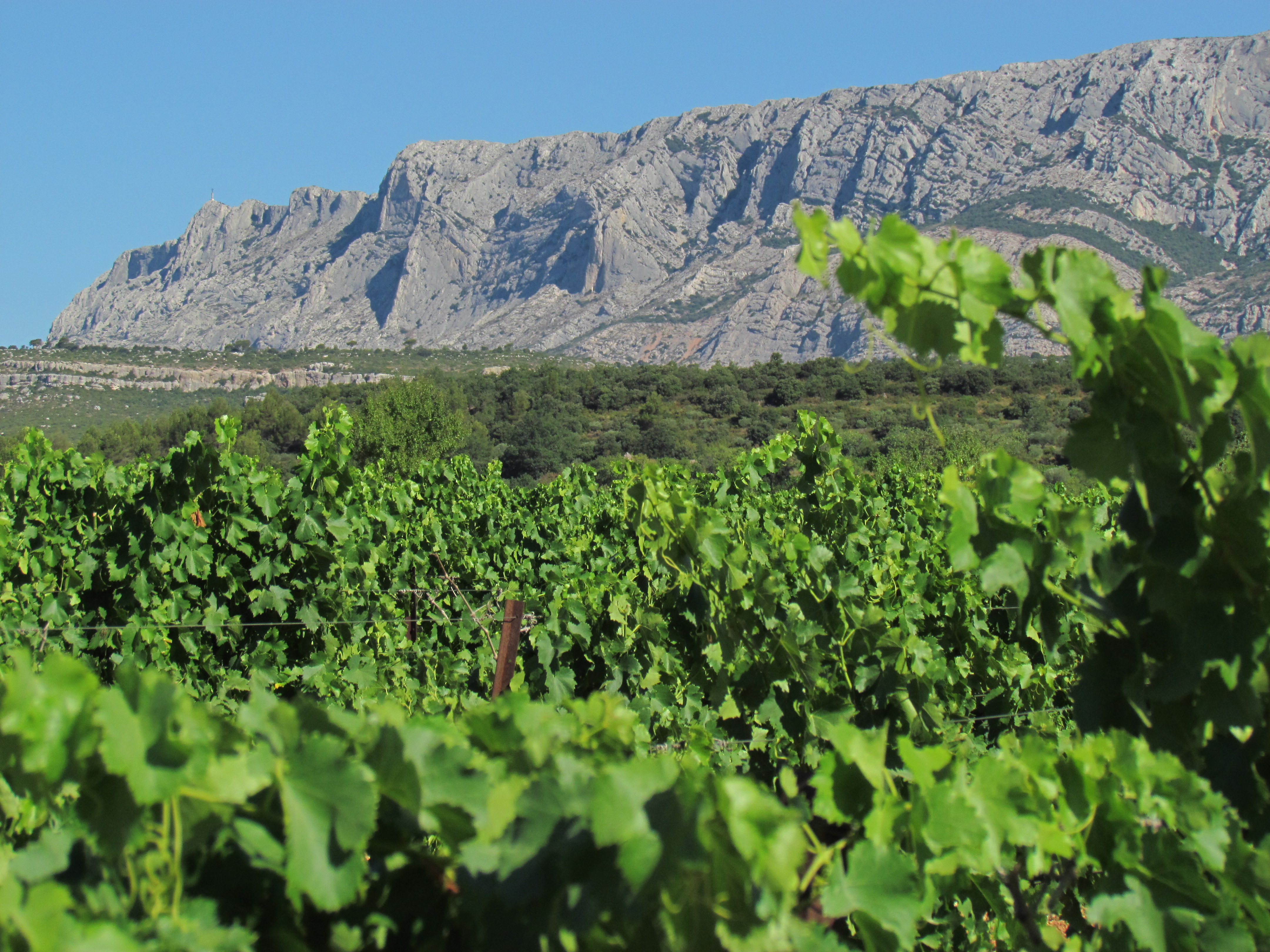 Cave de Rousset - photo 3