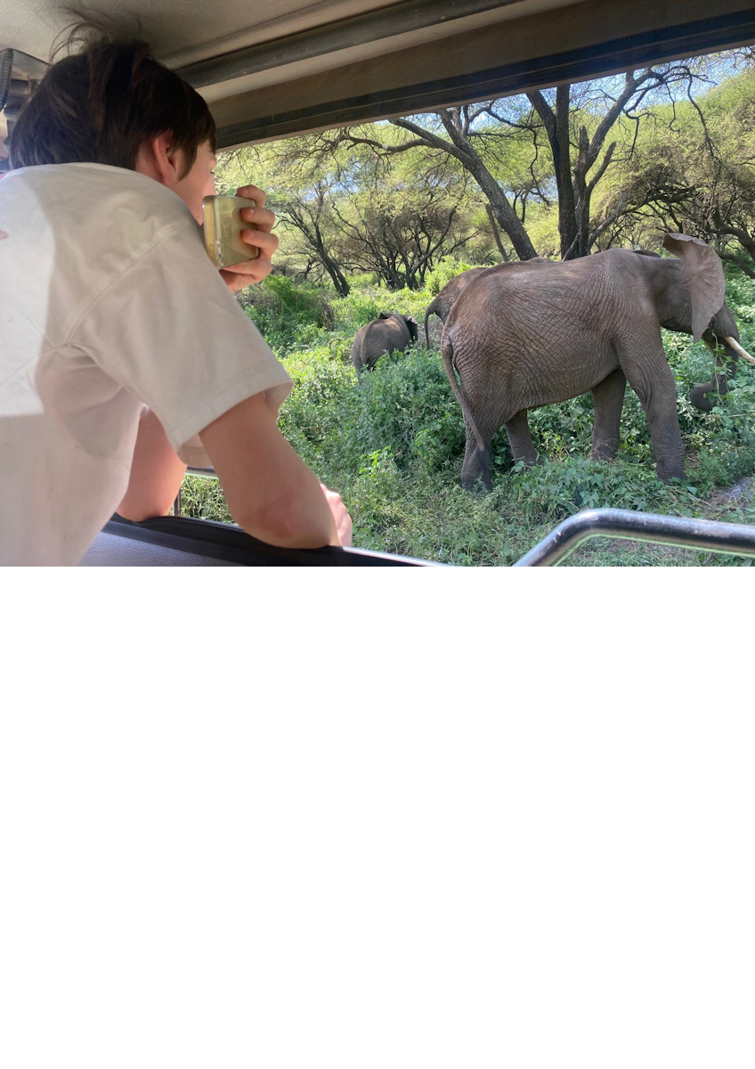 Projection - Notre voyage en Tanzanie