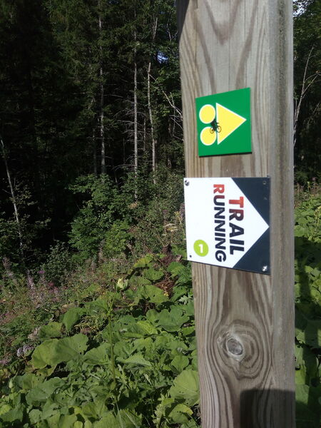 Circuit Trail 1 - Lac de Vallon