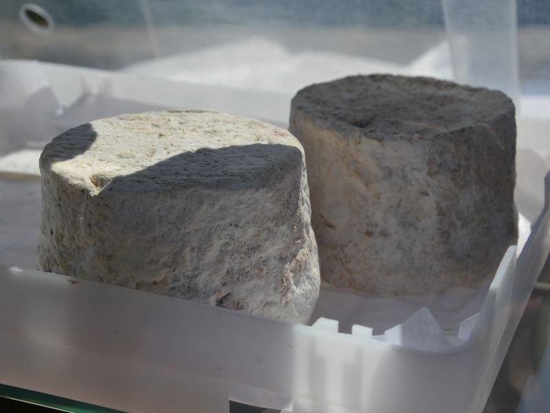 Boutique Grand Réal