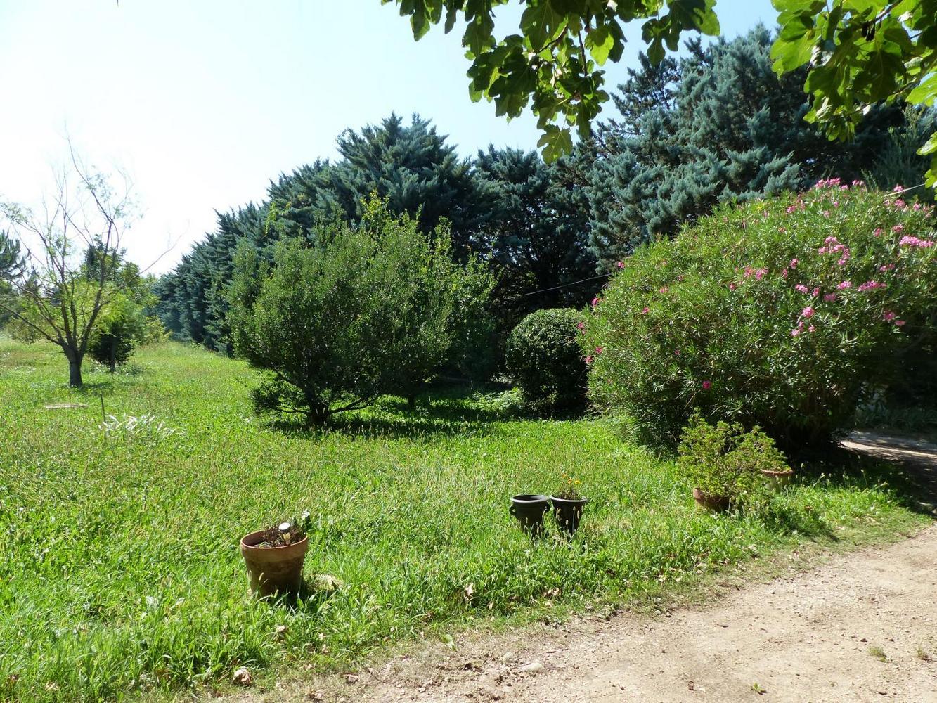 Aurélia, Mollégès - photo 13