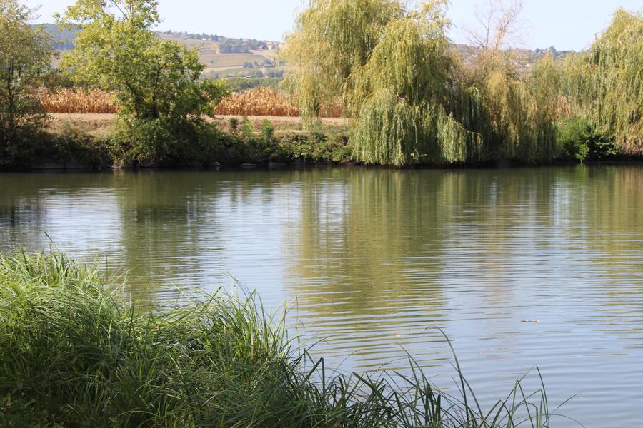 Etang Touristique d'Ambérieux d'Azergues_Ambérieux