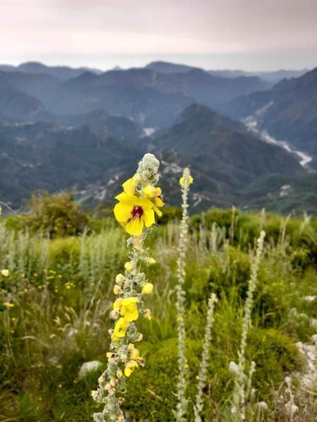 Plateau du Lac-Bairols-Gîtes de France Alpes-Maritimes