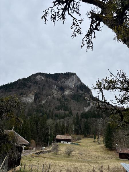 La Pointe d'Orchez - Randonnée_Thyez