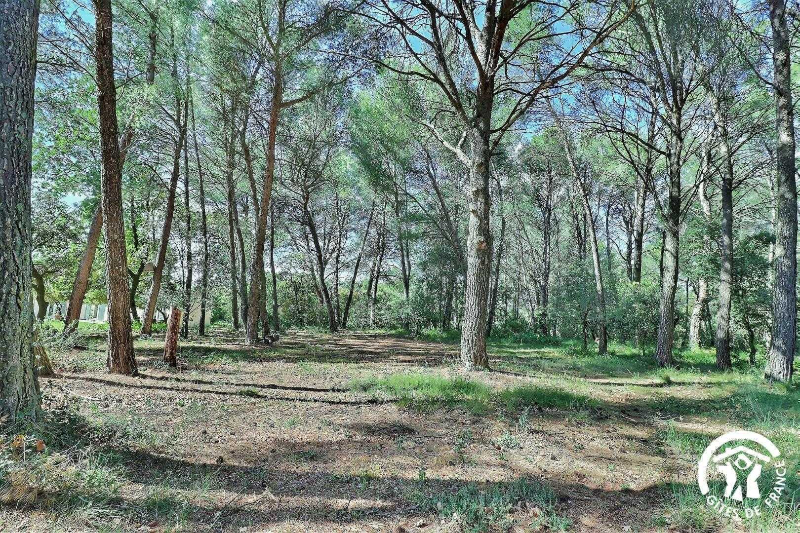 La Pinède, Plan-d'Orgon - photo 12