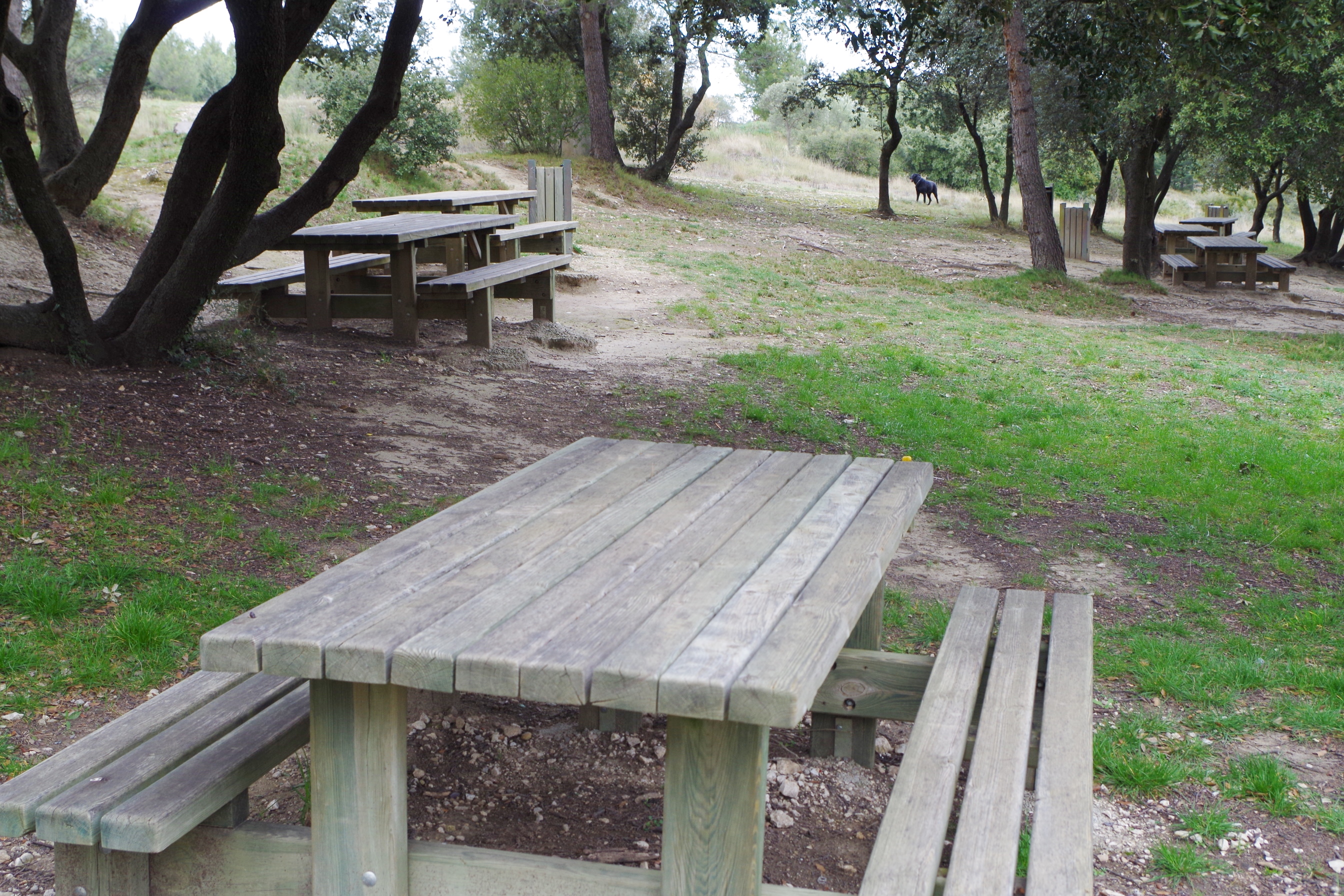 Aire de pique-nique au Vallon de la Roquette - photo 2