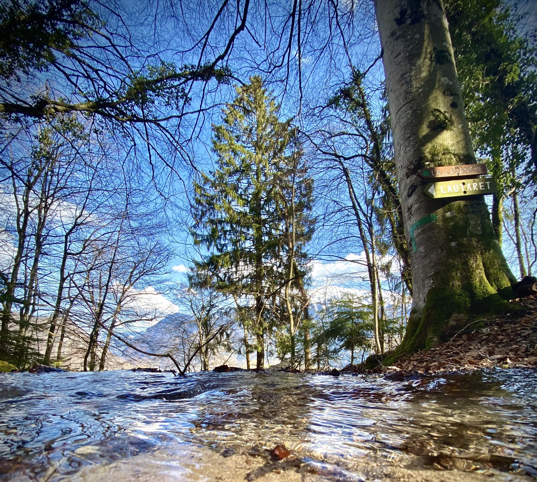 photosFeed-https://static.apidae-tourisme.com/filestore/objets-touristiques/images/95/24/10033247.jpg