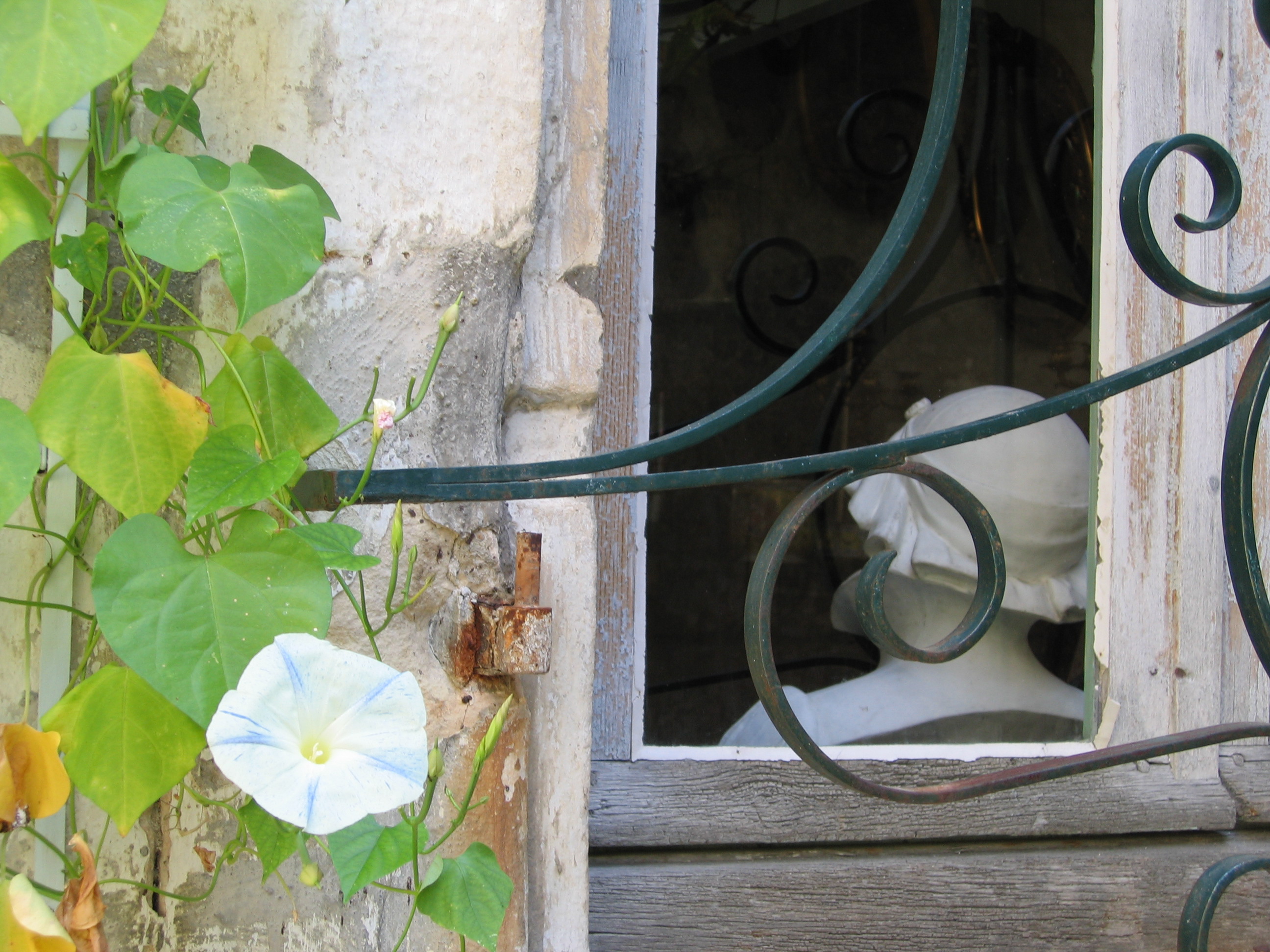 On s'fait une toile : La diseuse de bonne aventure