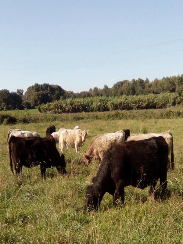 Ferme Saint Désiré