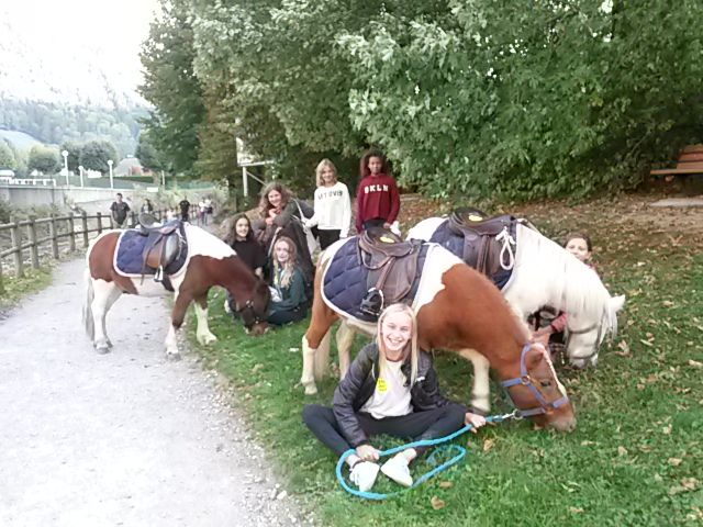 Centre équestre de Thônes