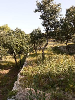 Salon de Provence : Le sentier de la Pastorale — photo 3