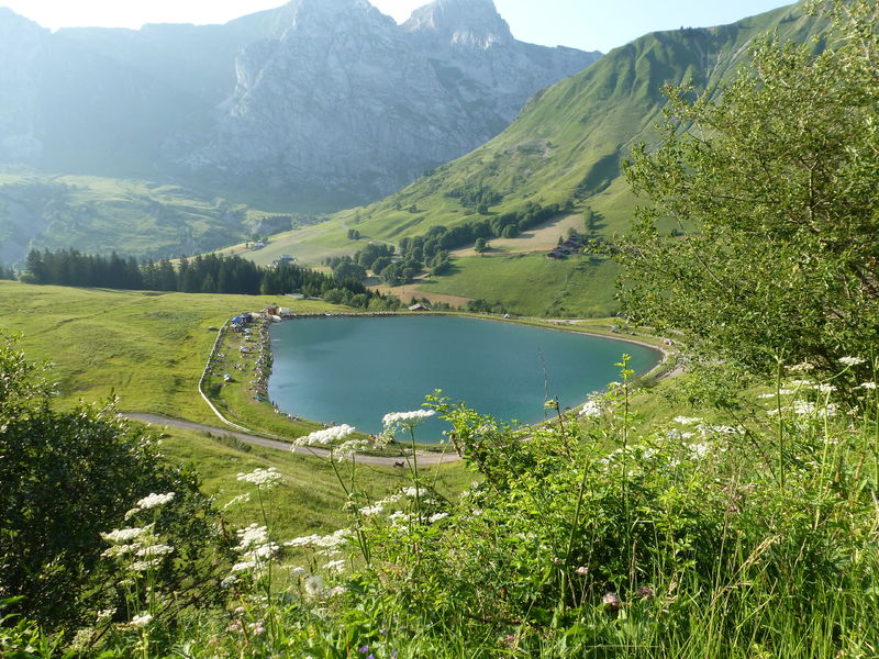 Lac de la cour