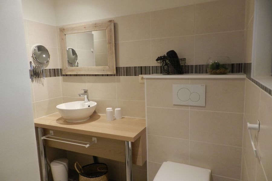 Salle d'eau grenouille