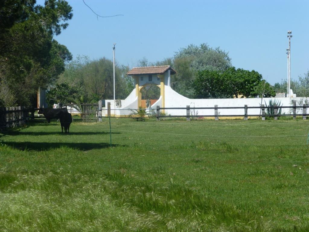 El Rocio 1, Saintes-Maries-de-la-Mer - photo 18