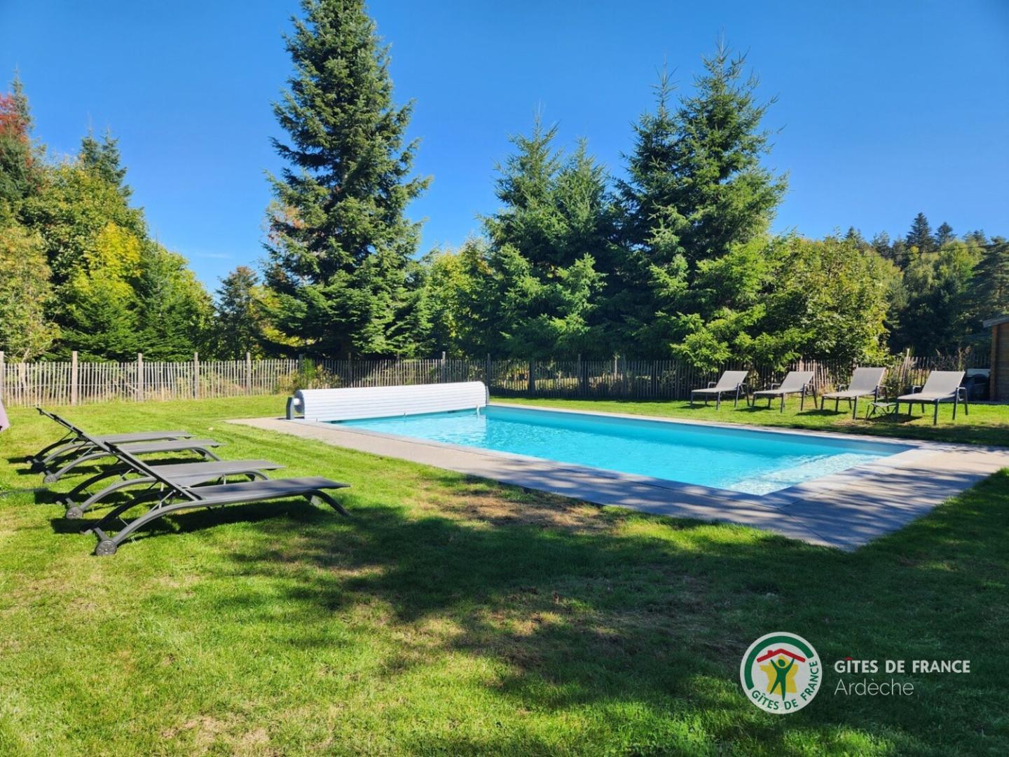 Piscine avec vue forêt
