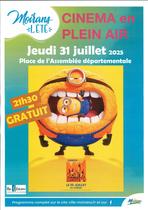 Affiche film Moi, moche et méchant 4