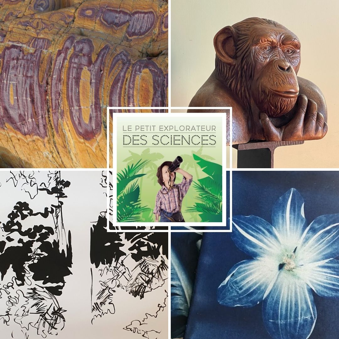 Exposition Artistique - Petit Explorateur des Sciences