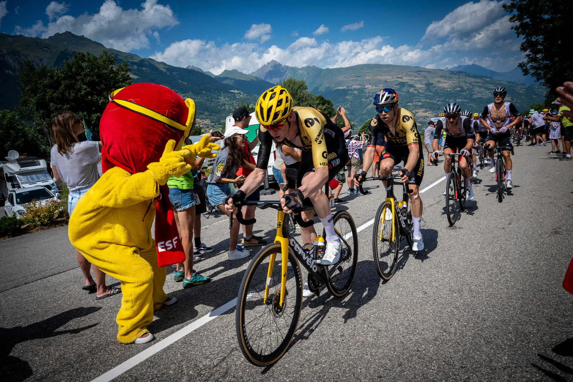 Tour de France | diffusion en direct