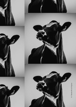 Merveille - Théâtre dès 12 ans_L'Horme