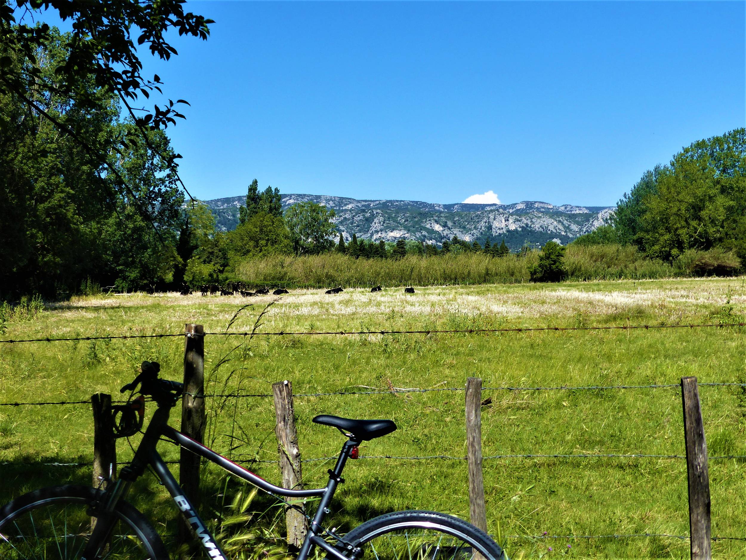 SÉNAS - Perrier Redon à vélo, Sénas - photo 4