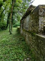img20230520115951.jpg