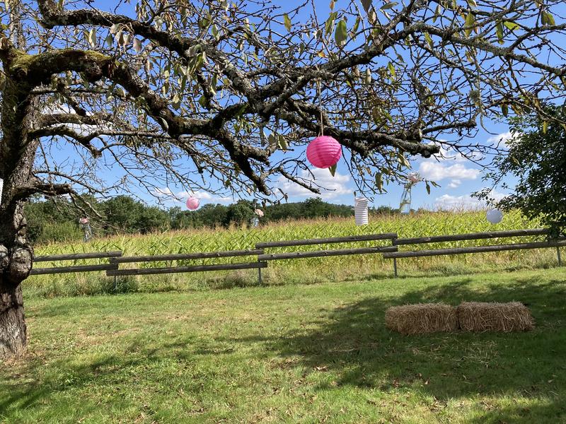 Château des Pertonnières