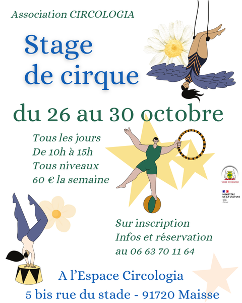Stage de cirque u2013 vacances de la toussaint_Maisse