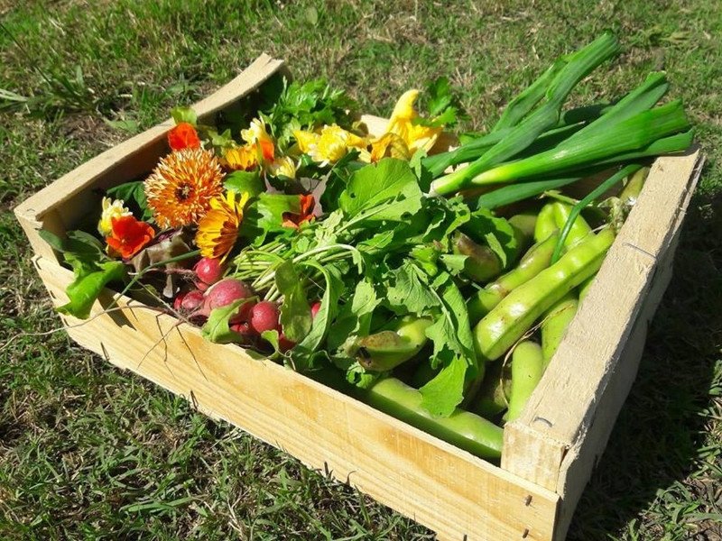 Oasis de La Nourrice, Fuveau - photo 4