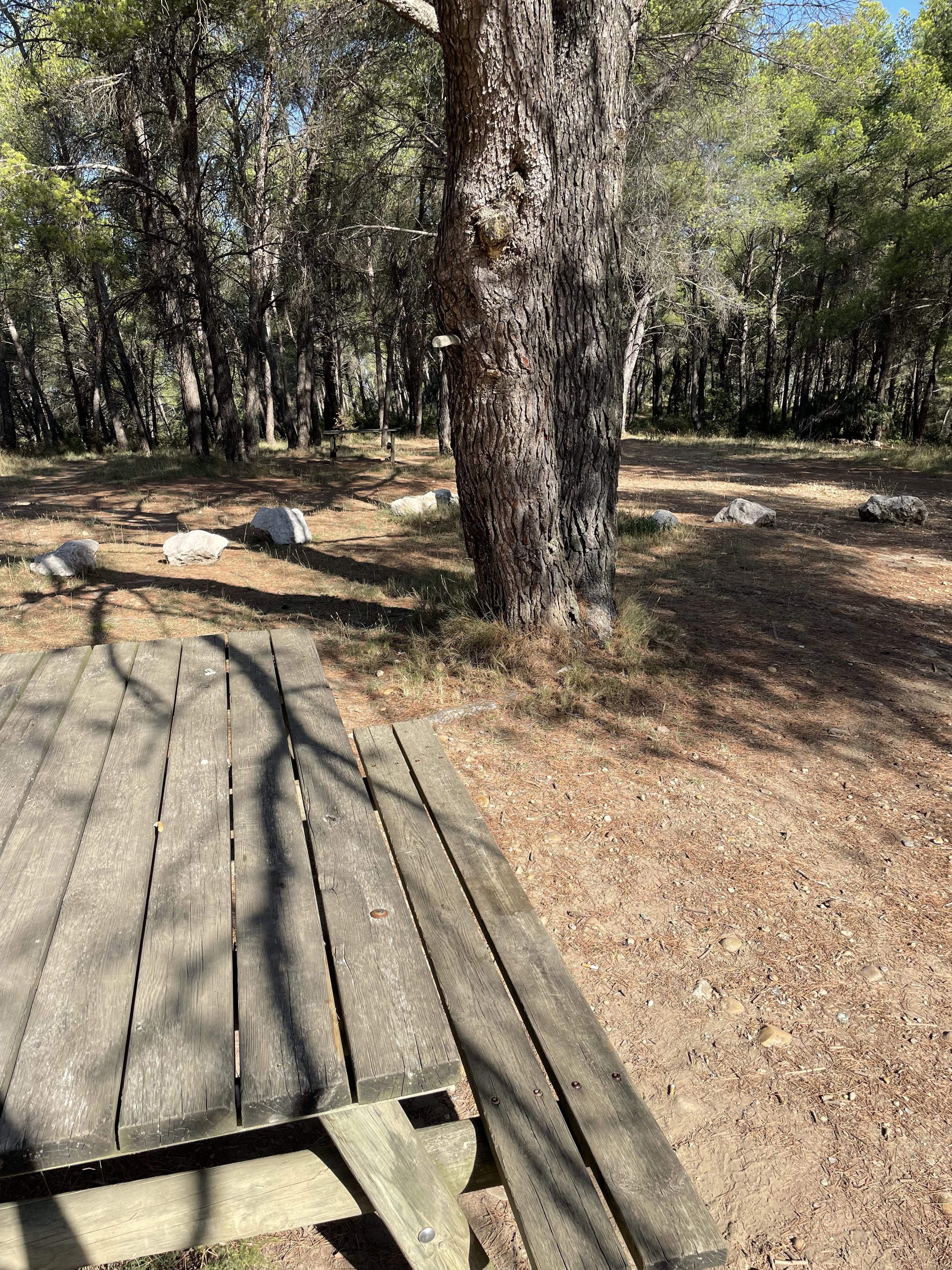Aire de pique-nique du Rougadou - photo 2