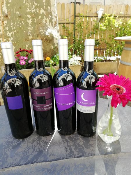 Au Fil de la Dégustation - Vins - MALAUCENE - 2022
