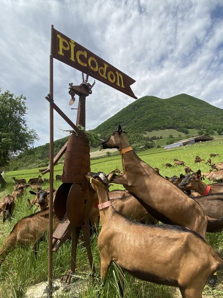 Ferme caprine Pracoutel